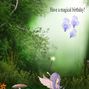 magical birthday.craft