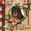 Priceless My Dog * Paris *