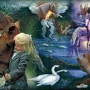 Beautiful Horses Beautiful Horses