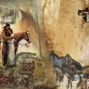 THE WILD  WEST