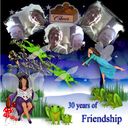 30 years of Friendship 30 years of Friendship