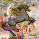 Dreams