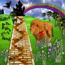 Follow the Yellow Brick Road Follow the Yellow Brick Road