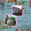 family of doves