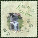 Paw Prints Priceless