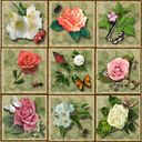 Magic square's Flowers Magic square's Flowers