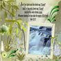 Water Of Life