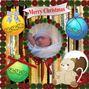 Merry Christmas Baby