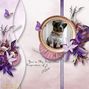 Cute Blue Heeler