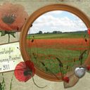 poppy field poppy field