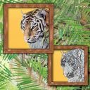 Tigers