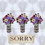 Sorry1