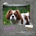 Cassie Cassie