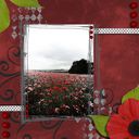 Poppy Threshhold Poppy Threshhold