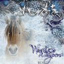 Winter whispers Winter whispers