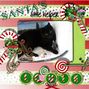 Santas little helper