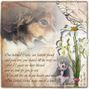 In loving Memory of a Faithful Friend