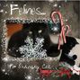 felines...no ordinary cats