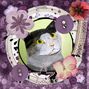 FITZHUGH CAT