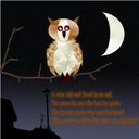Owl Challenge