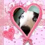 Stuart's Valentine