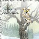 Owl Friday Fantasy