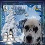 Inca loves snow