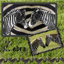 Z is for Zebra