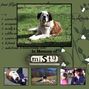 In Memory Of Misty