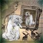 Run Rabbit Run