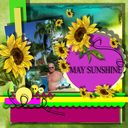 MAY SUNSHINE MAY SUNSHINE