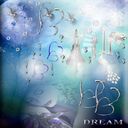 DREAM DREAM