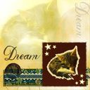 Dream Dream