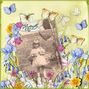 Butterfly garden