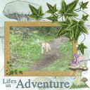 lifes an adventure