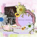 spring lambing spring lambing