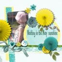 May sunshine May sunshine