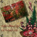 The beauty of nature.craft The beauty of nature.craft