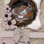 Amber the cat