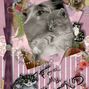 Friend - For my