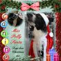polly's christmas