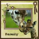 in a word family