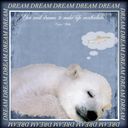 dream a little