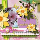 May Sunshine May Sunshine