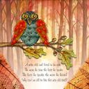 wise owl