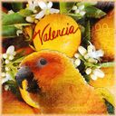 Valencia Valencia