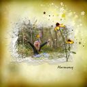 Harmony Harmony