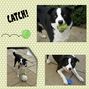 Let's play ball pg2