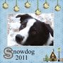 Snowdog 2011
