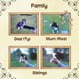 Boy's family